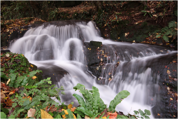 'Badger Falls' by Paul Wallace, Sutton Coldfield u3a